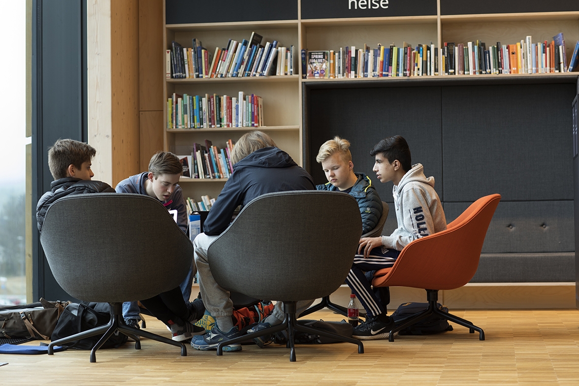 Hva gjør folk på biblioteket?