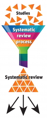 63Systematisk